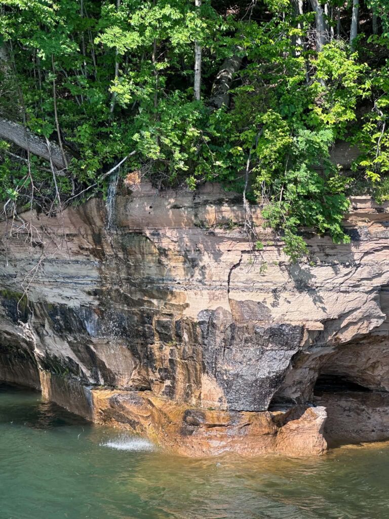 Glass-Bottom Boat Shipwreck Tour