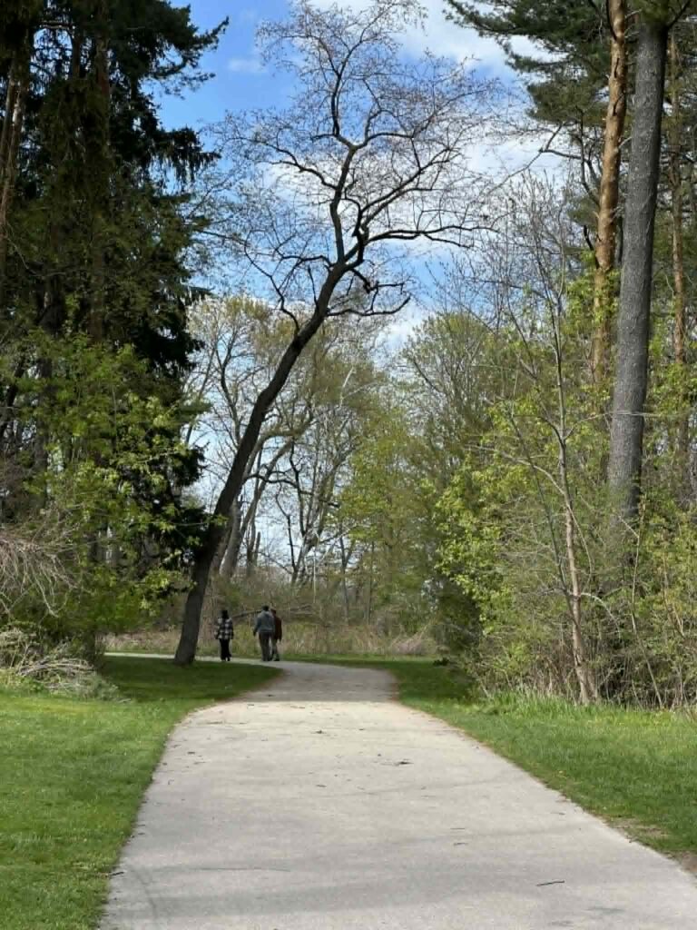 Paved trail through Grant Park with accessible walking path