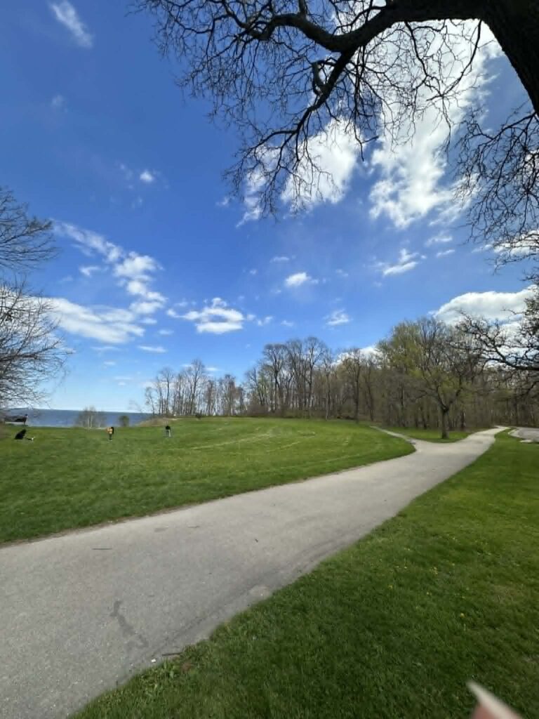 Paved trail through Grant Park with accessible walking path