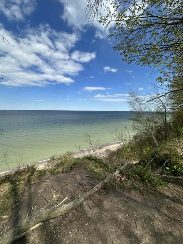 Grant Park lakefront view with trees and Lake Michigan shoreline