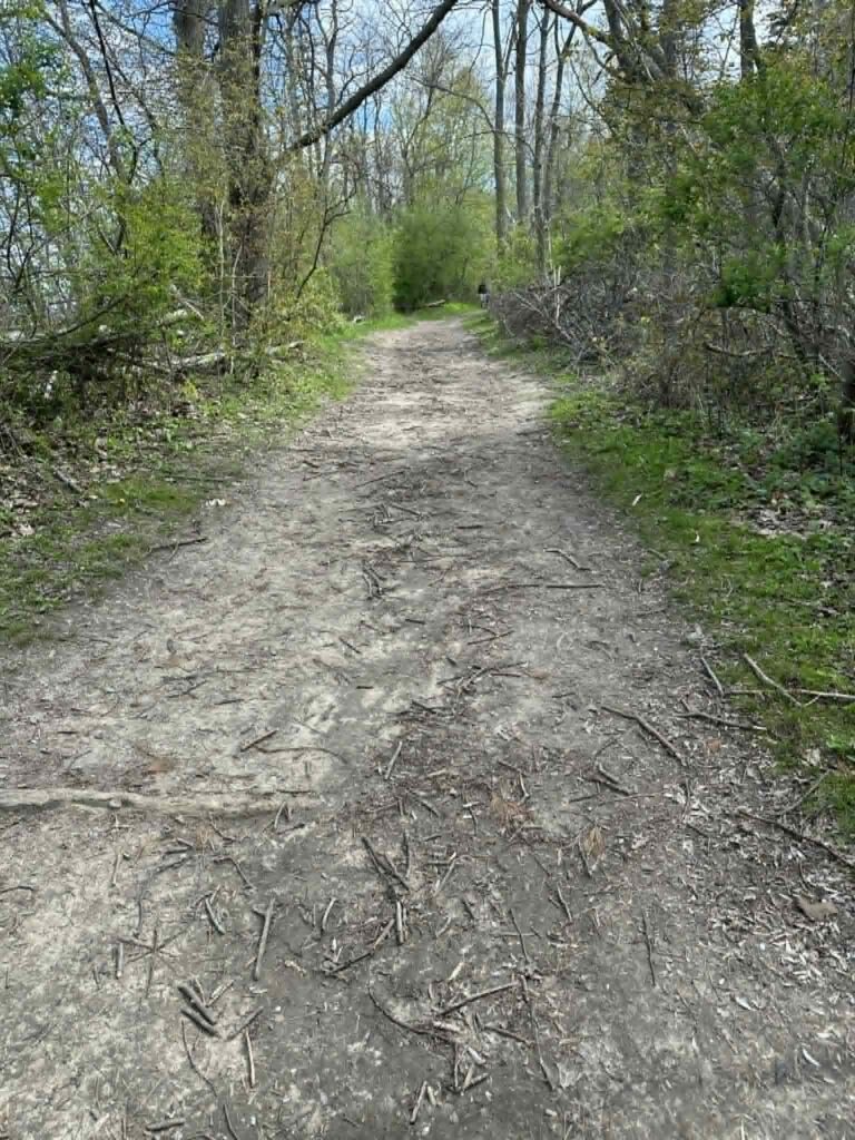 Open green space at Grant Park with walking paths and shaded areas