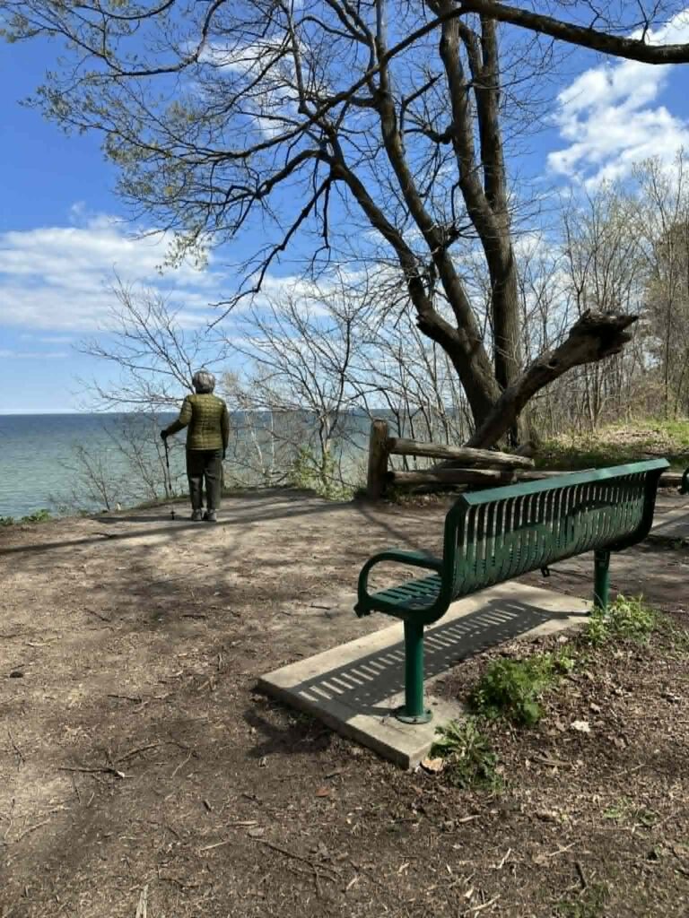 Wooden bench in Grant Park overlooking Lake Michigan shoreline