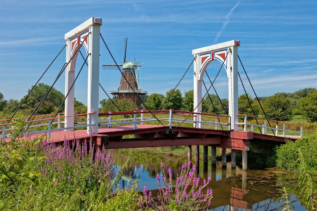 Windmill, bridge and beautiful flowers on display in Holland Michigan