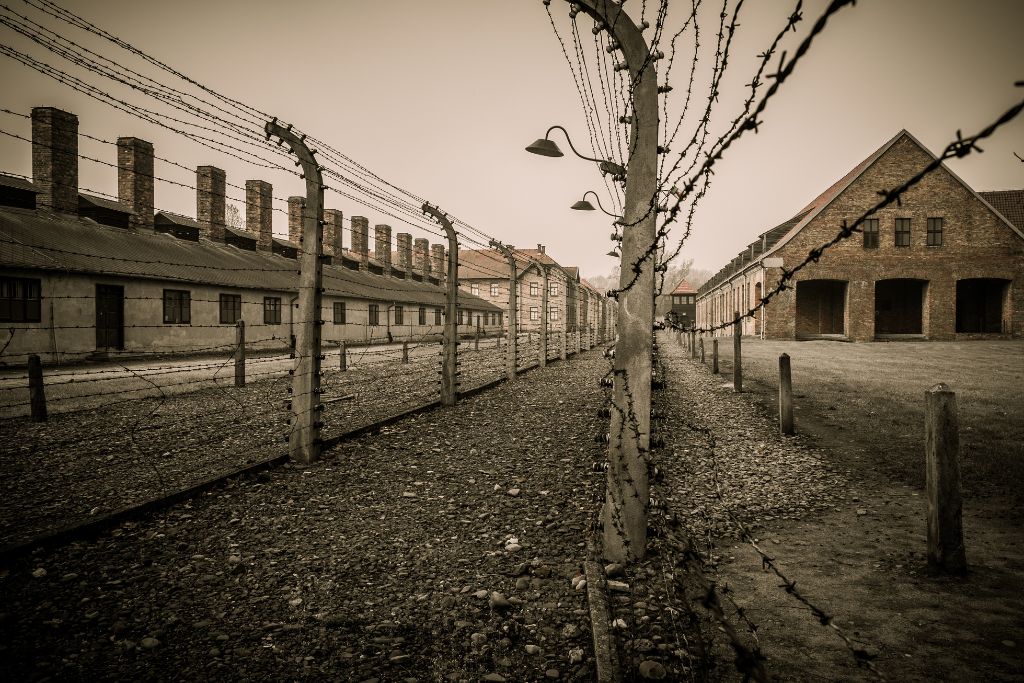 Views from a concentration camp