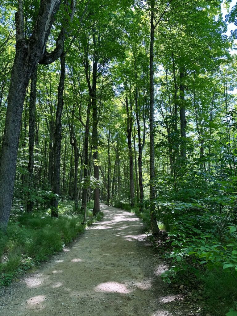 Miners Falls Trail