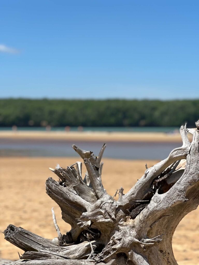 Sand Point Beach