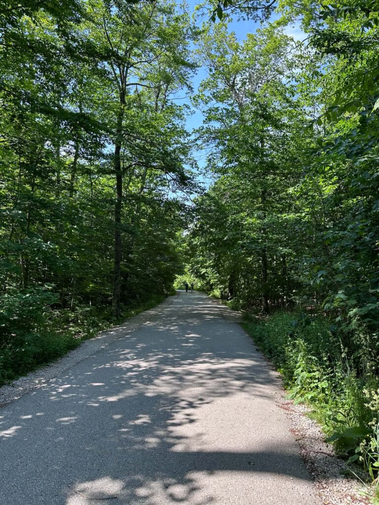 Paved accessible walking path leading through forest near Upper Tahquamenon Falls
