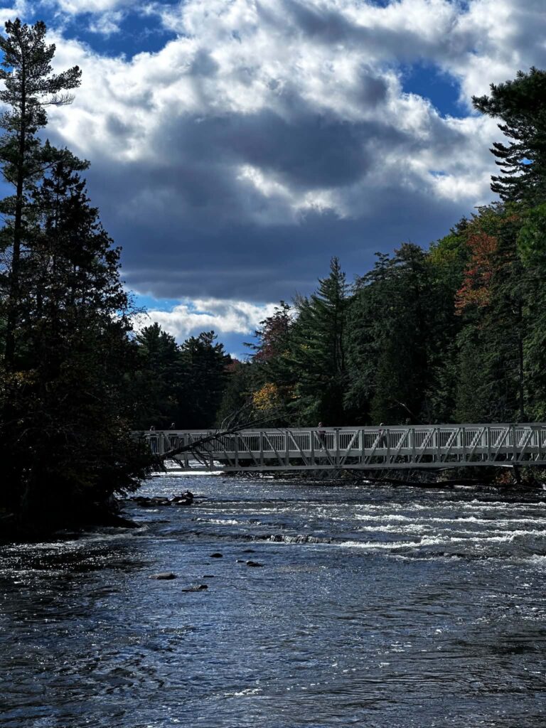 Wooden boardwalk dock at the Lower Tahquamenon Falls extending over the calm river with a forested shoreline in the distance