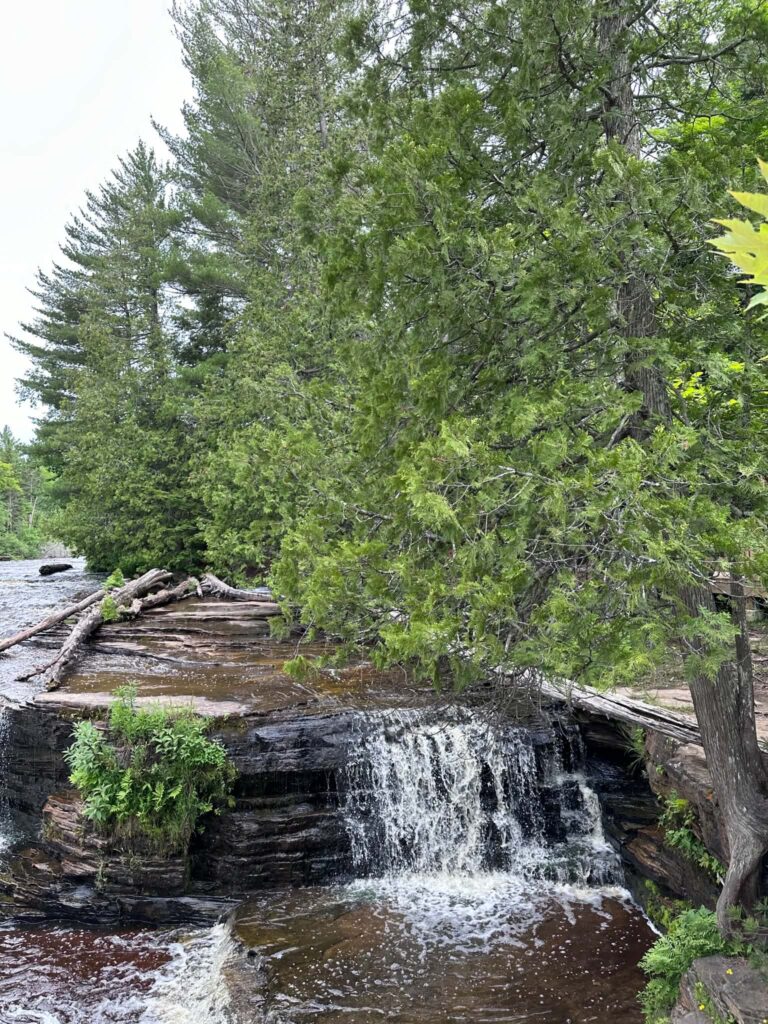 Lower Tahquamenon Falls cascade viewed from below with lush green vegetation framing the left side of the image