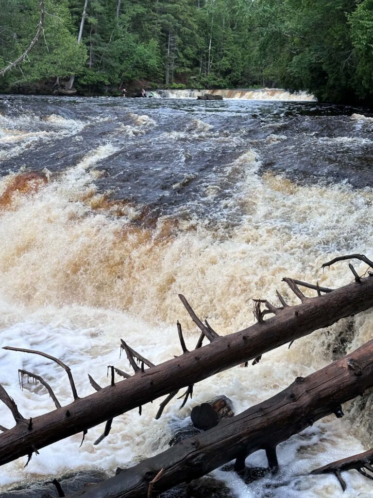 One of the five cascades of Lower Tahquamenon Falls rushing over rocky ledges with fallen logs in the foreground