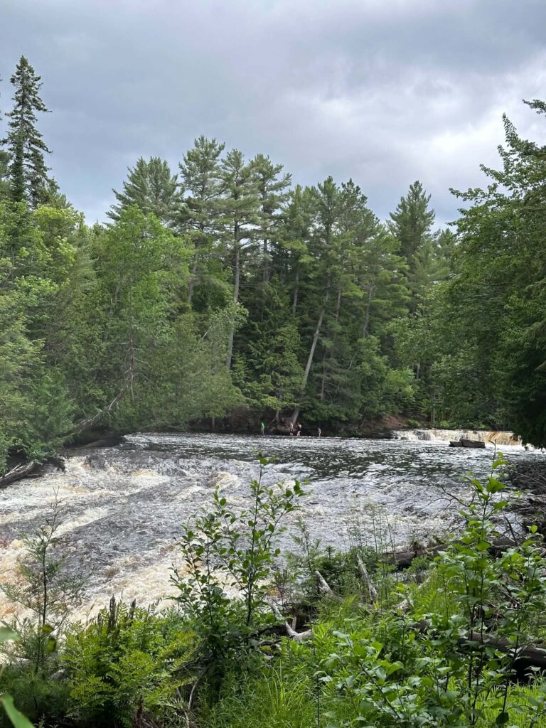 Wide panoramic view of the Tahquamenon River and surrounding old-growth forest near the Lower Falls