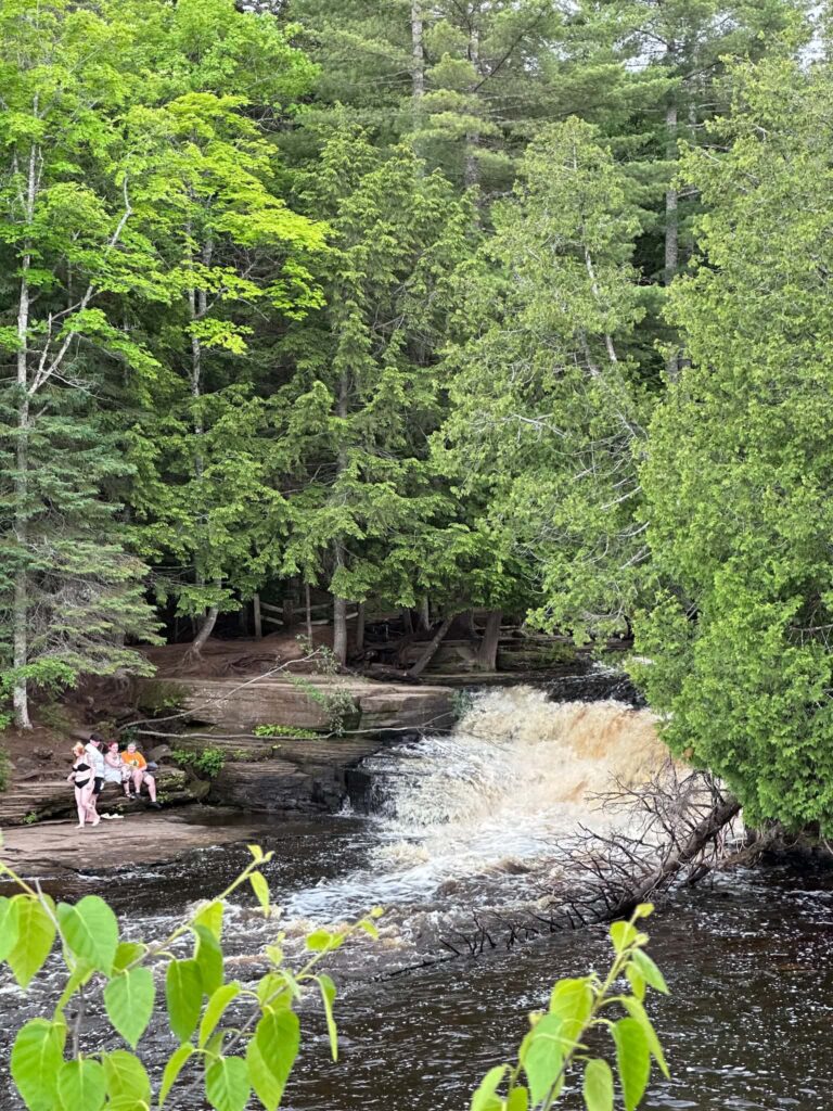 Lower Tahquamenon Falls waterfall framed by overhanging green summer foliage on the riverbank