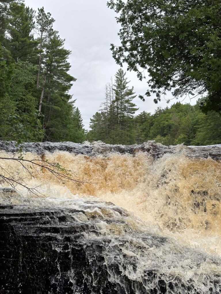 Full-frame view of the Lower Tahquamenon Falls at high water flow, with amber water and thick white foam spanning the entire cascade
