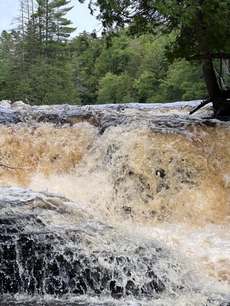 Lower Tahquamenon Falls at high water flow with a fallen log caught in the churning amber cascade