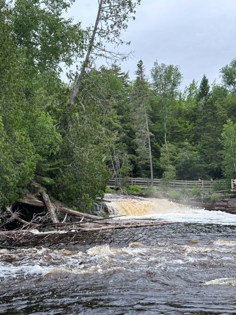 Lower Tahquamenon Falls at high water flow with a fallen log caught in the churning amber cascade