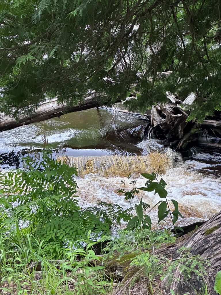 A visitor fishing from the flat rocks at the Lower Tahquamenon Falls with a cascade rushing beside them and green forest in the background