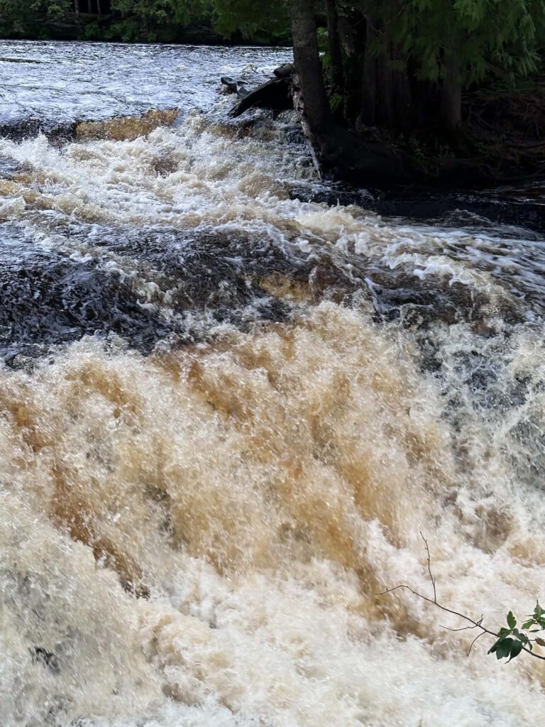 The Lower Tahquamenon Falls at peak spring flow, with powerful amber water filling the entire cascade from bank to bank