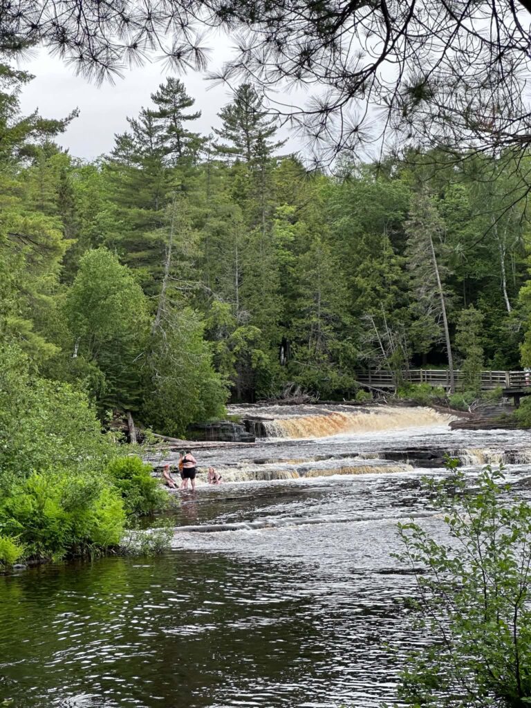Dense green tree canopy overhanging the Tahquamenon River near the Lower Falls in summer