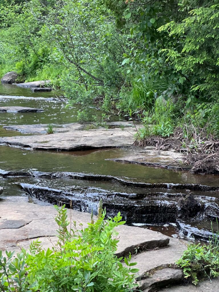 Large flat rock ledge at the Lower Tahquamenon Falls with green plants growing in the cracks and the river flowing alongside