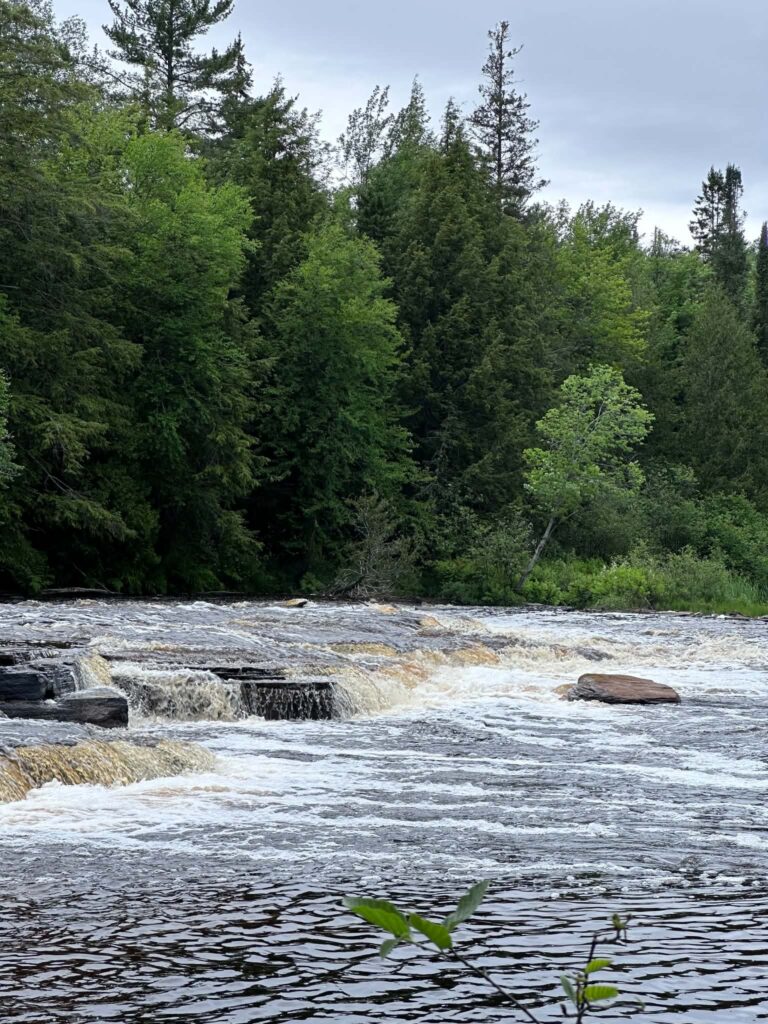 Wide view of visitors on the broad rock shelf at the Lower Tahquamenon Falls with a waterfall cascade on the right and pine forest behind