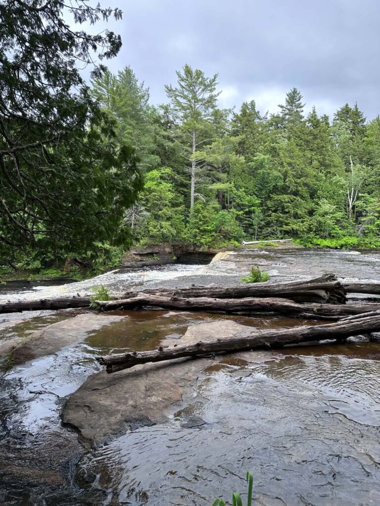Rocky shoreline at the Lower Tahquamenon Falls with a low waterfall drop and pine forest on the opposite bank