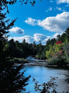 Bright sunny view of a wide curve of the Tahquamenon River near the Lower Falls with vivid blue sky and lush green summer forest
