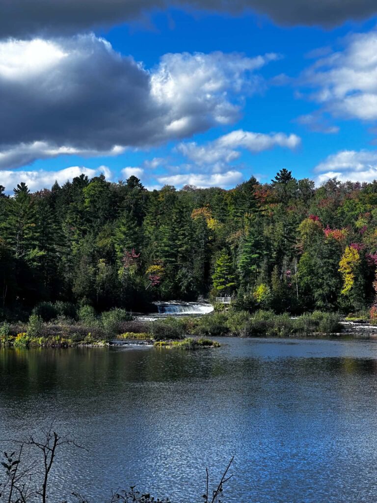 Sunny wide view of the Tahquamenon River near the Lower Falls with a gentle current and mixed green and early fall-colored trees on both banks