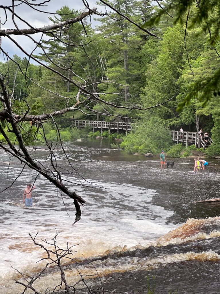 Lower Tahquamenon Falls seen through fallen branches and dense forest vegetation along the riverbank