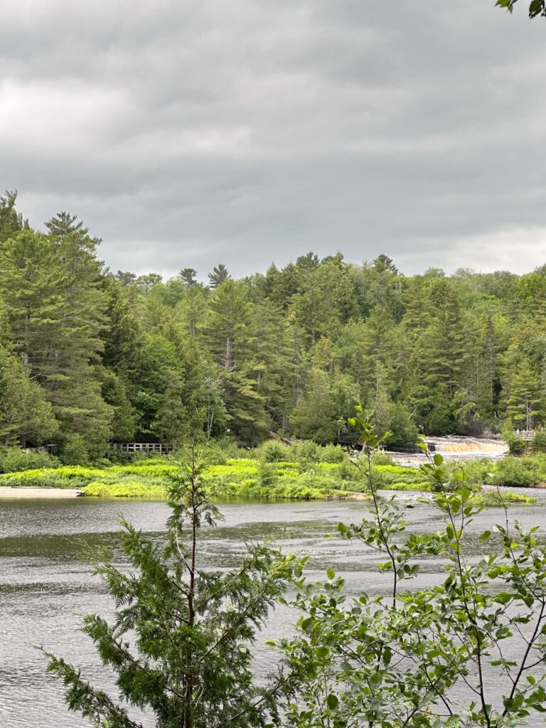 Wide calm view of the Tahquamenon River above the Lower Falls surrounded by tall pine forest under gray skies