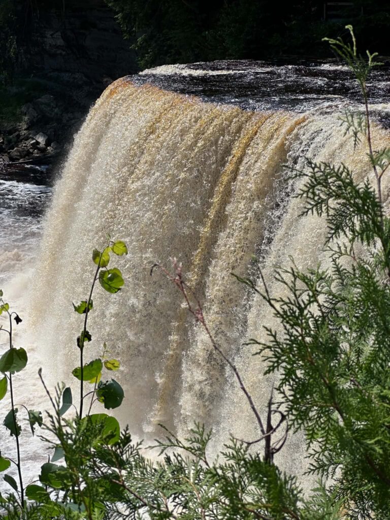 Edge view of Upper Tahquamenon Falls cascading into the river below