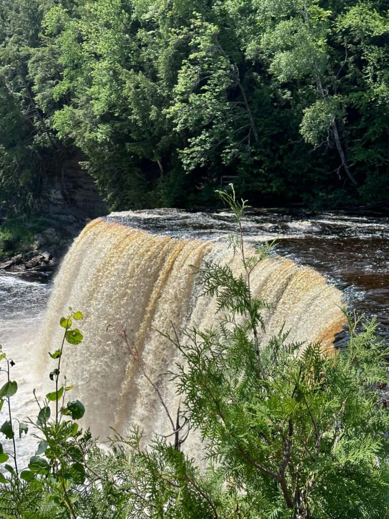 Tahquamenon Falls surrounded by lush Upper Peninsula forest in summer