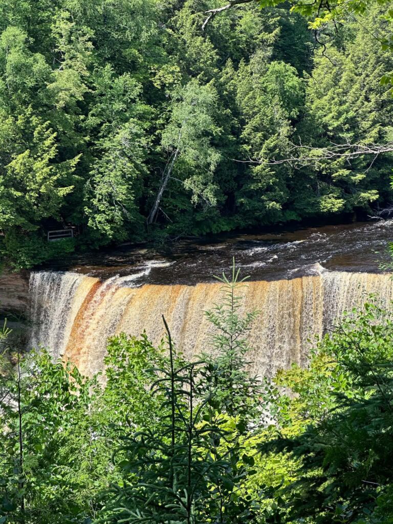 Scenic overlook of Upper Tahquamenon Falls surrounded by thick northern forest