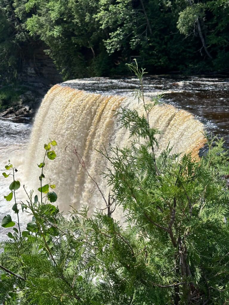 Upper Tahquamenon Falls partially framed by green shrubs and trees