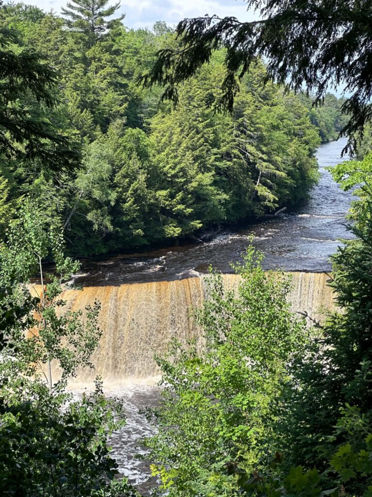 Tahquamenon River bending toward Upper Falls through evergreen forest