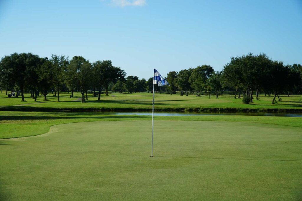 A picture of a flag coming out of a golf hole.