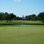 A picture of a flag coming out of a golf hole.