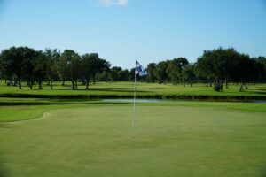 A picture of a flag coming out of a golf hole.