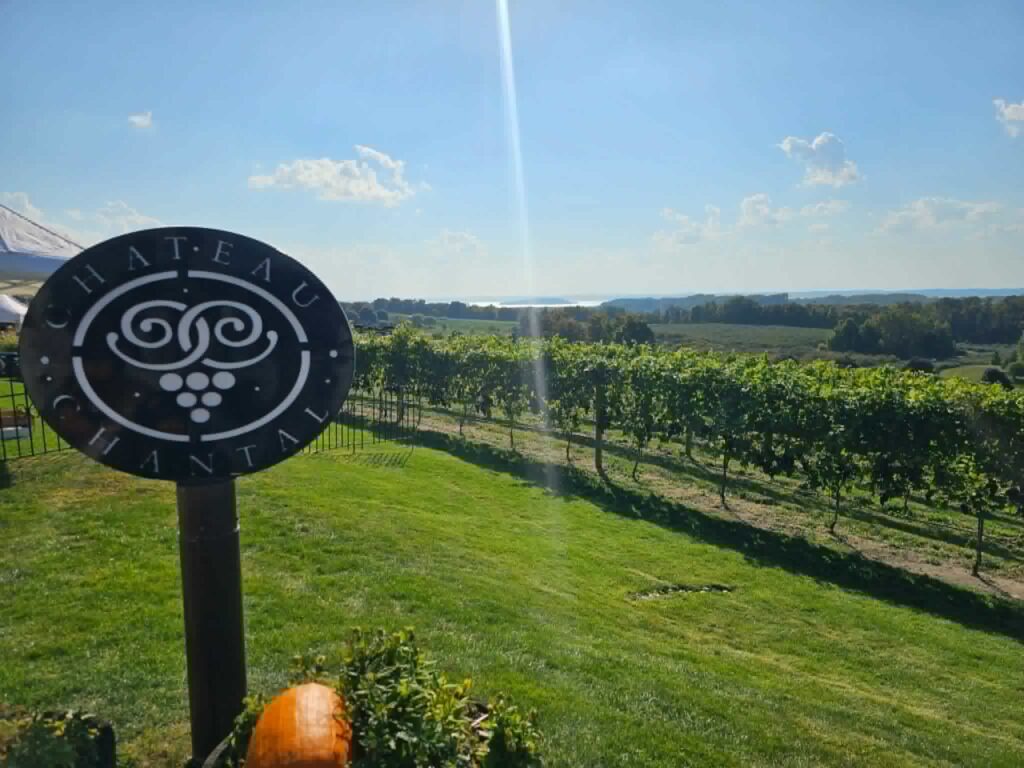 Chateau Chantal winery on Old Mission Peninsula — vineyard rows above Grand Traverse Bay, with the bay visible in the distance