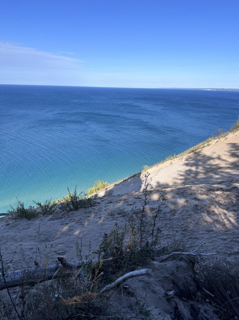 Sleeping Bear Dunes — the steep sand dune face drops to turquoise Lake Michigan below, driftwood and wildflowers clinging to the dune. Photo: Mary / wanderingmichiganwisconsin.com