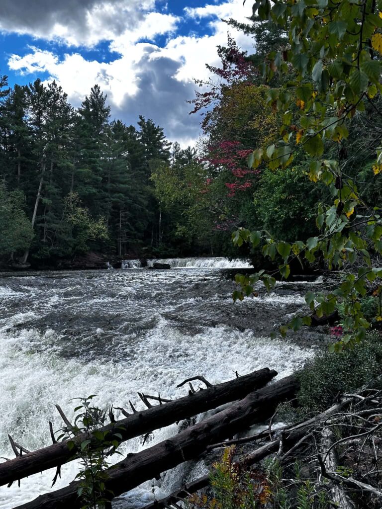 Lower Tahquamenon Falls cascade with fallen logs crossing the river and dense forest on both banks under an overcast sky