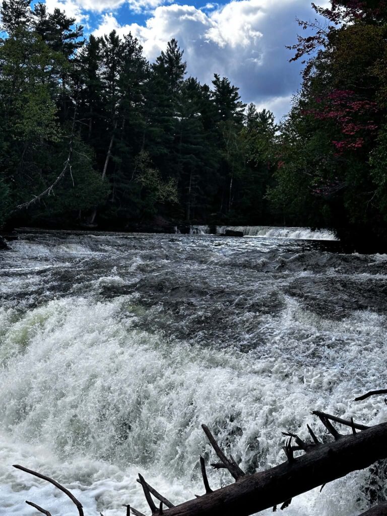 Lower Tahquamenon Falls cascade over rocks with fallen logs in the water and moody fall-colored forest visible in the background
