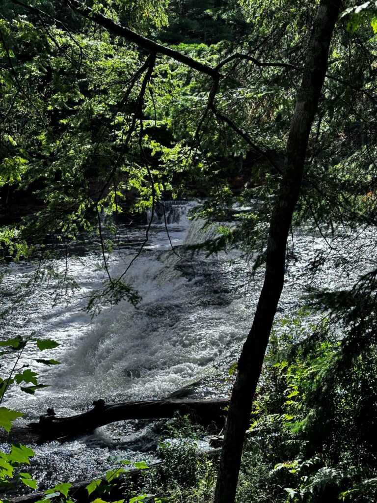 Early fall color showing in the trees above the Lower Tahquamenon Falls with flat rocks and a narrow cascade in the foreground