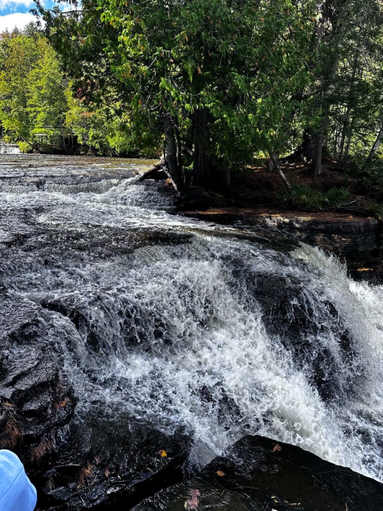 Wide autumn view of the Tahquamenon River near the Lower Falls with orange and gold fall foliage and fallen logs along the shoreline