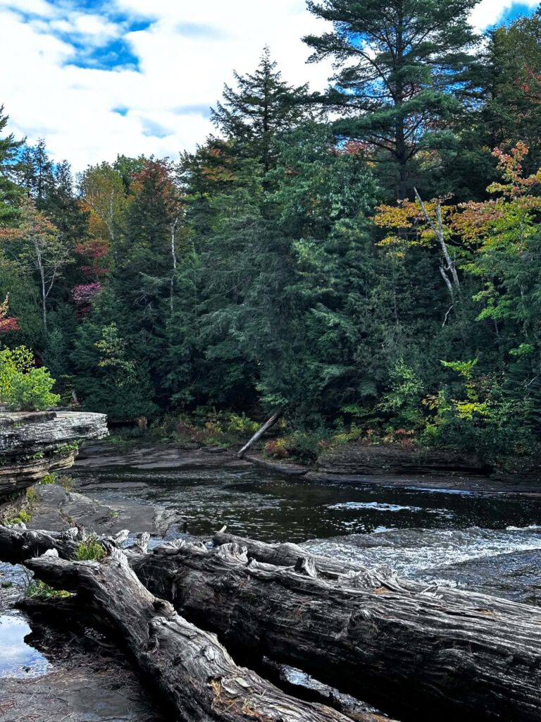 Moody autumn view of the Tahquamenon River near the Lower Falls with orange and gold fall foliage, fallen logs, and a gray overcast sky