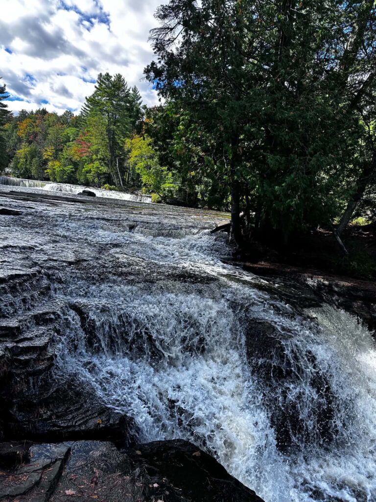 Wide autumn view of the Tahquamenon River near the Lower Falls with orange and gold fall foliage and fallen logs along the shoreline