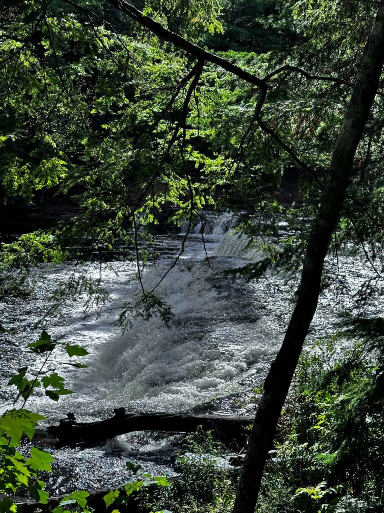 Lower Tahquamenon Falls cascade framed by overhanging forest canopy with blue sky visible through the green treetops