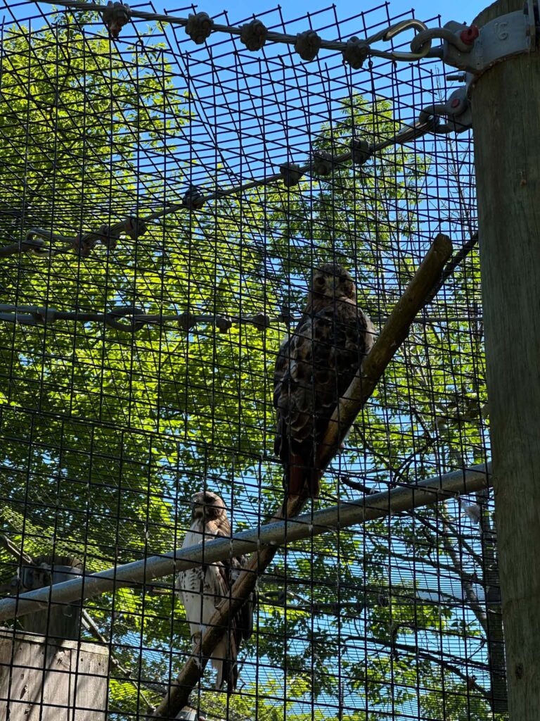 Lincoln Park Zoo