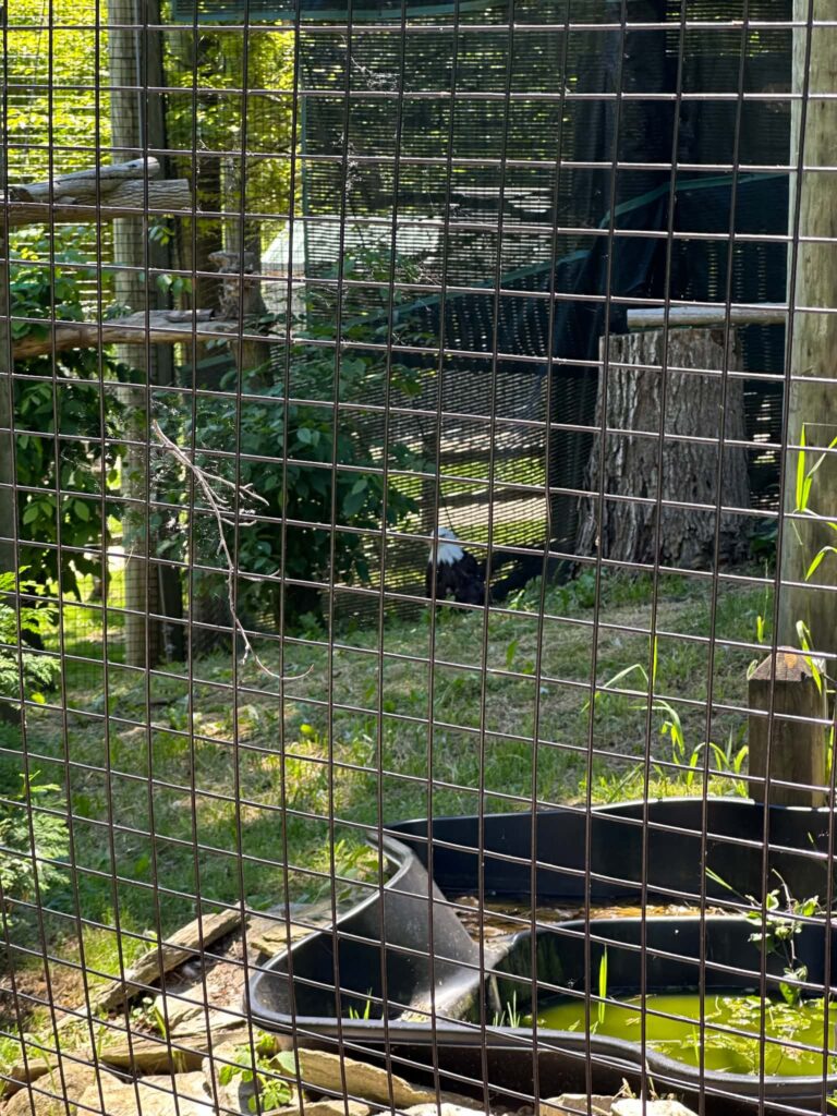 Lincoln Park Zoo