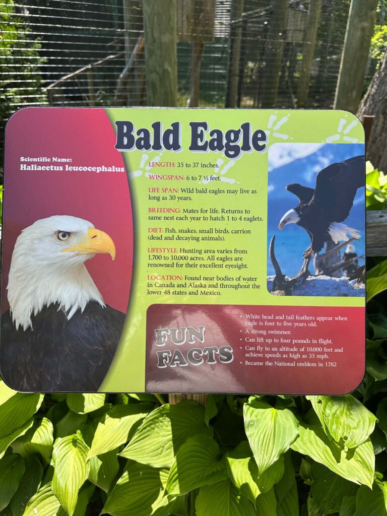 Lincoln Park Zoo