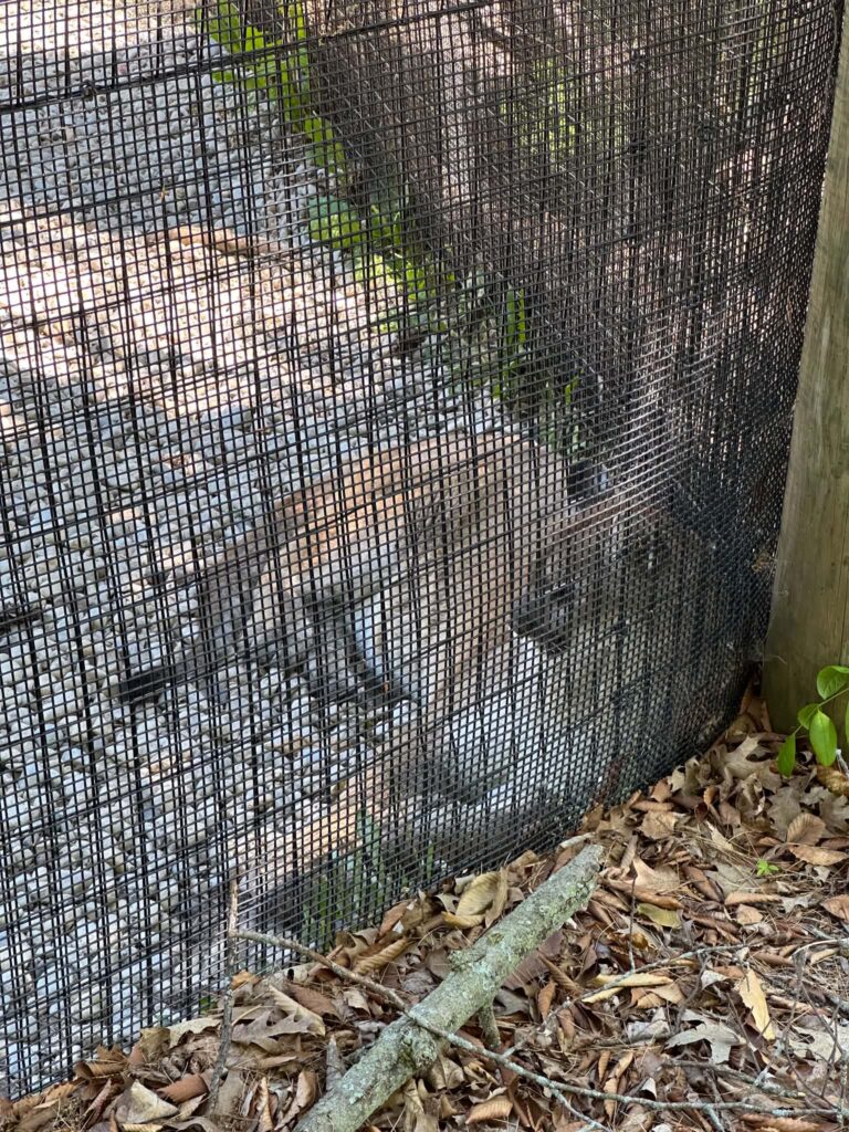 Lincoln Park Zoo